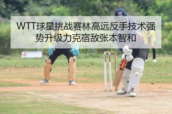 WTT球星挑战赛林高远反手技术强势升级力克宿敌张本智和
